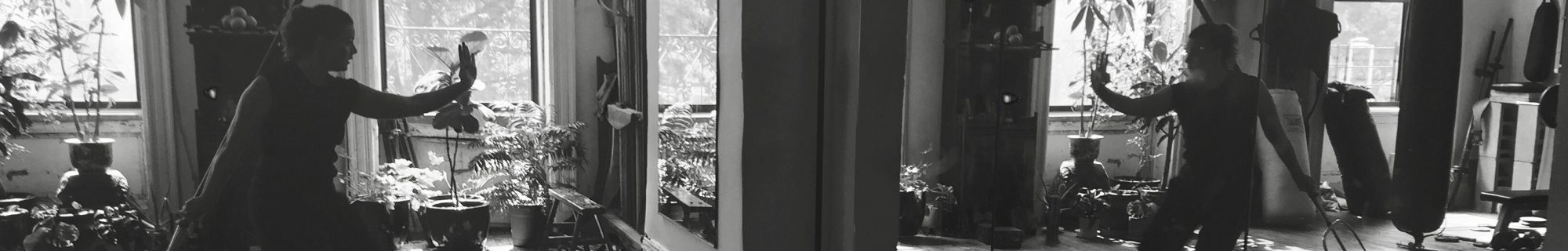 Christel Dawn: Yoga & Kung Fu. Balanced Potential.